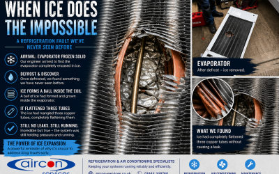 When Ice Does the Impossible – A Refrigeration Fault We’ve Never Seen Before